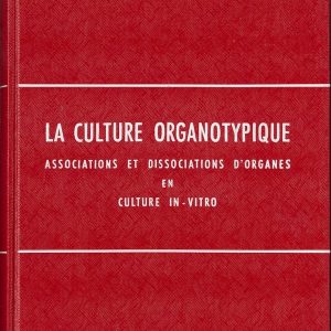 Culture organotypique